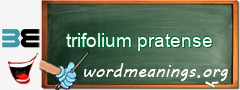 WordMeaning blackboard for trifolium pratense